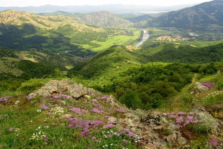 Uitzicht vanaf Rodopen Bulgarije