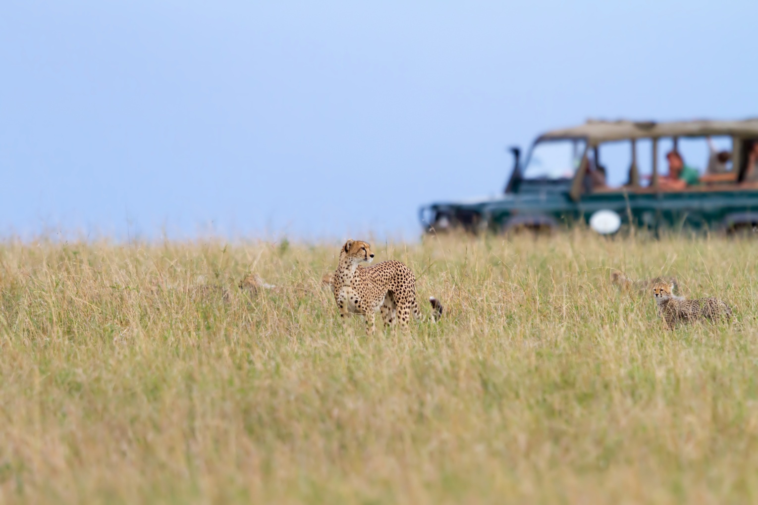Wat neem op safari? | De beste tips