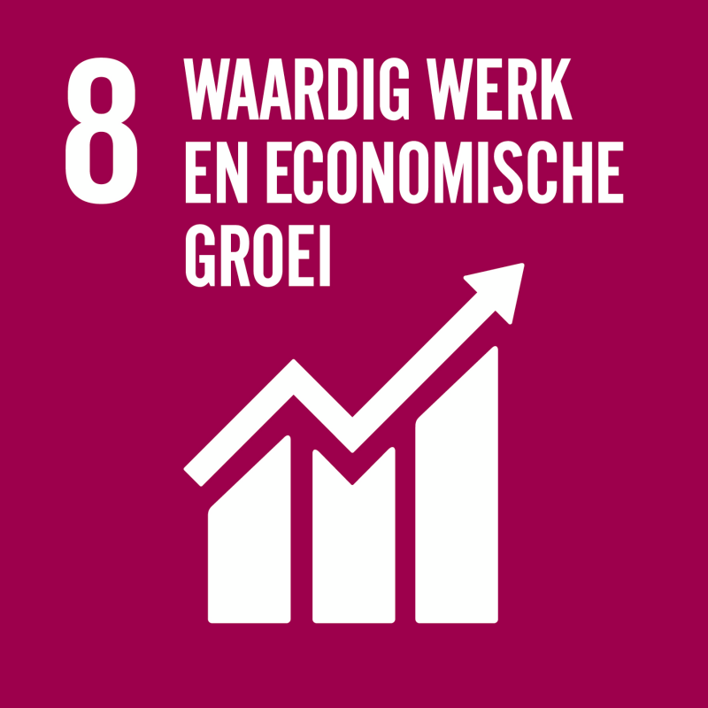 SDG logo doel 8