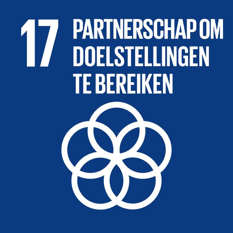 SDG logo doel 17