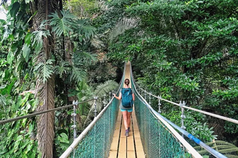 Excursie Costa Rica hangbrug