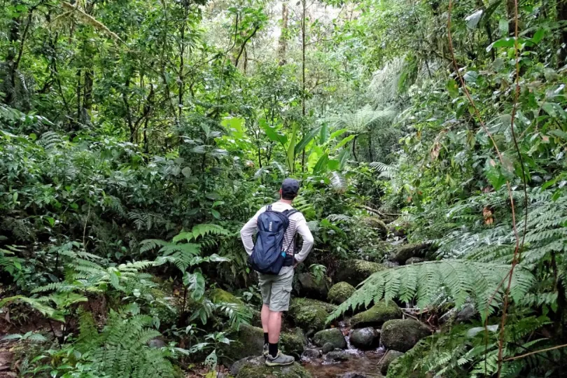 Vakantie Costa Rica man in jungle