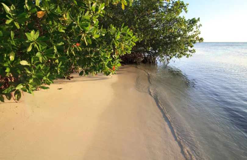 Mooiste stranden Cuba Cayo Guillermo