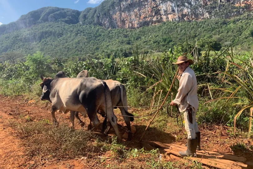 Cuba excursies ecological farm tour