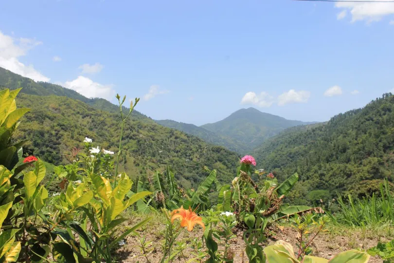 Jamaica hoogtepunten Blue Mountains
