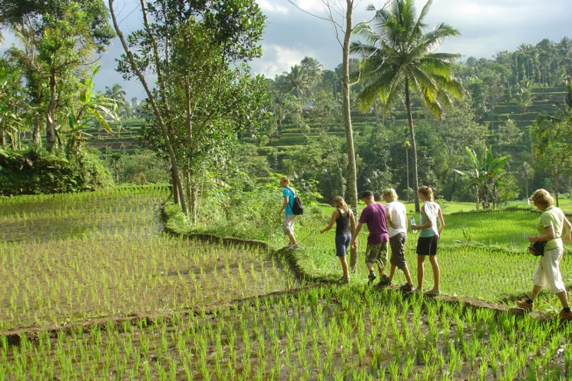 Rondreis Indonesië - wandeltocht