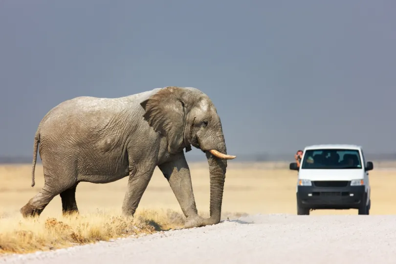 individuele rondreis namibie