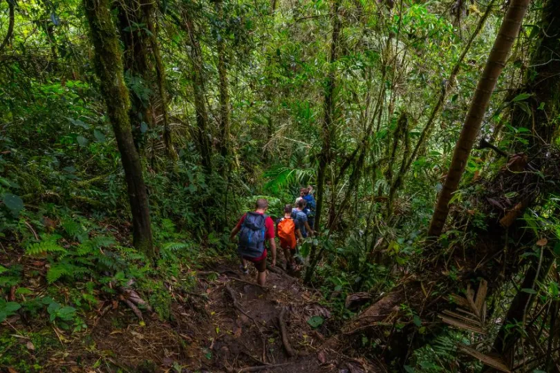Panama excursies wandelen regenwoud Boquete