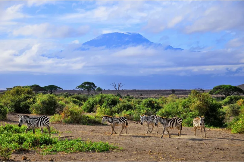 Kilimanjaro uitzicht