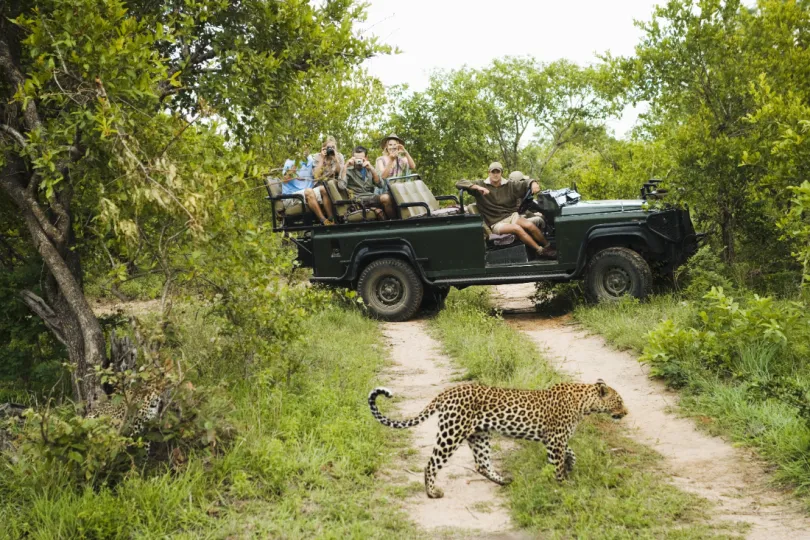 Kruger Safari