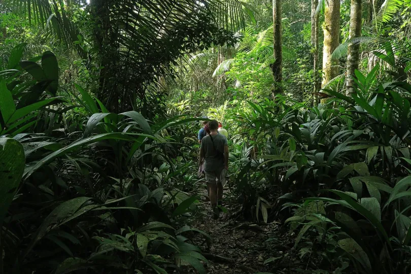 Luxe Suriname reis