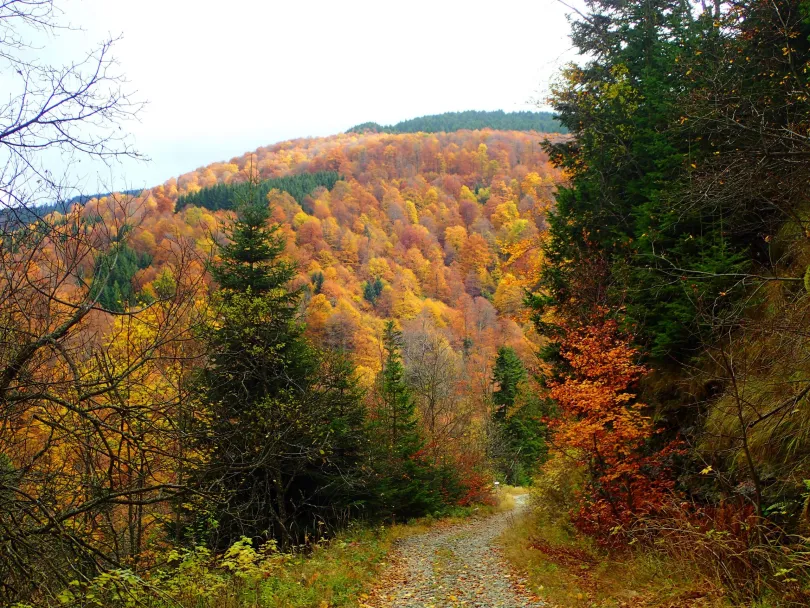 Bulgarije Balkan mountains