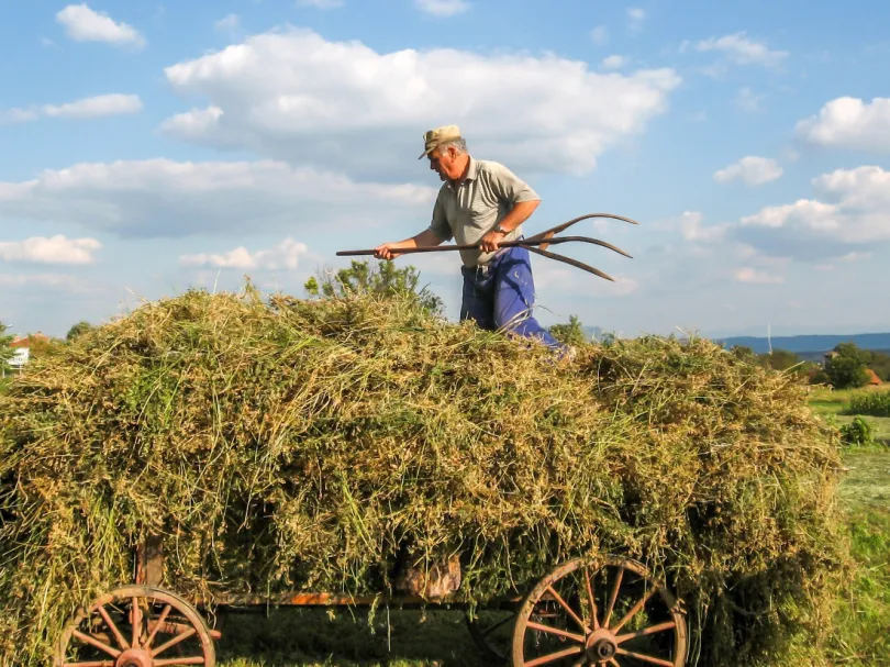 Bulgarije reis boer op het land