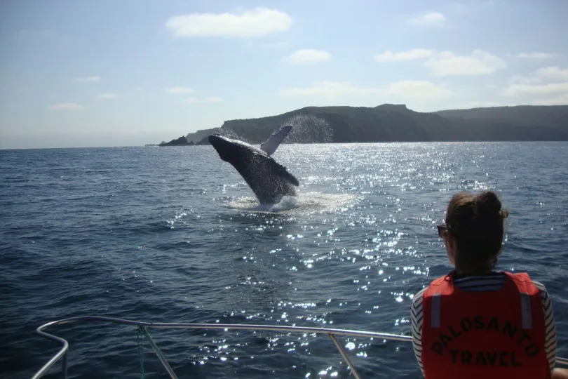 Ecuador excursies walvis bij Isla de la Plata