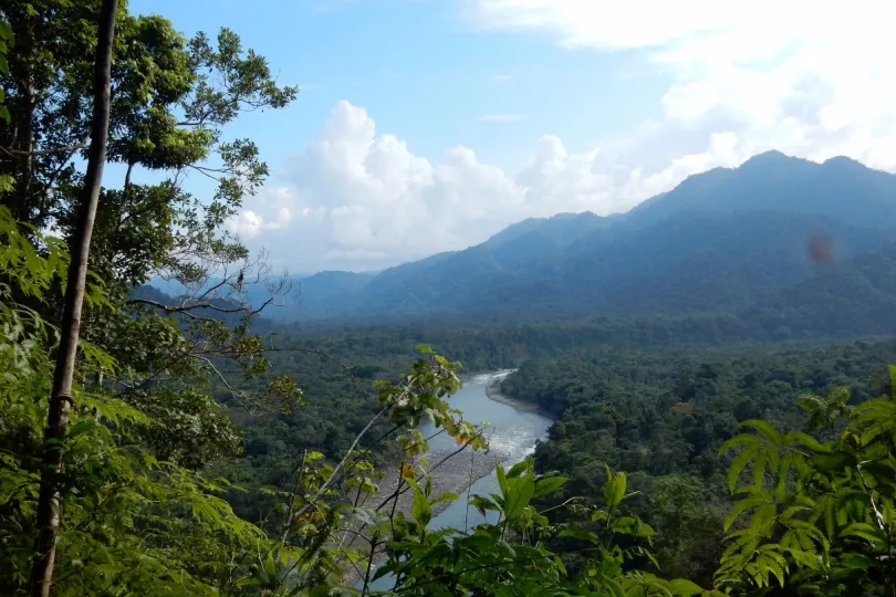 Reis Ecuador Tena Amazone