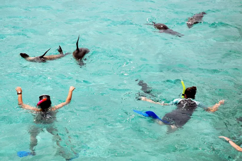 Galapagos activiteiten Isla Lobos snorkelen