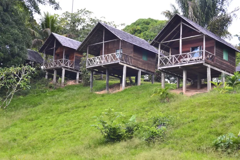 hoogtepunten Suriname
