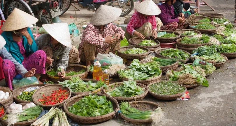 Rondreis Vietnam - Hoi An