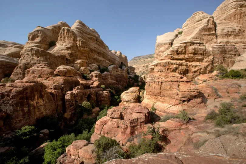 Jordanië met kinderen