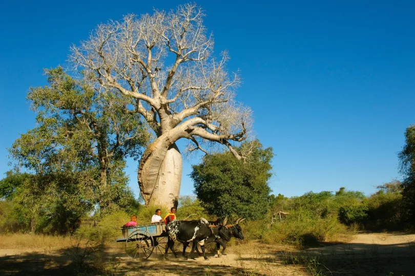 Madagaskar roadtrip