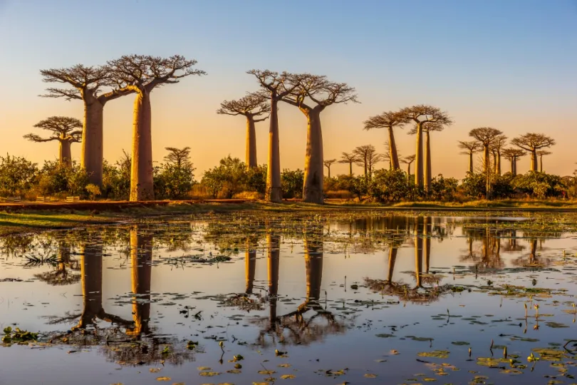 Bezienswaardigheden Madagaskar