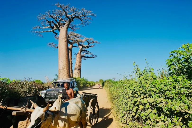 Madagaskar roadtrip