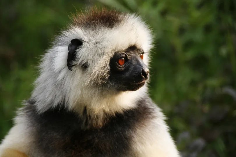 Madagaskar met kinderen