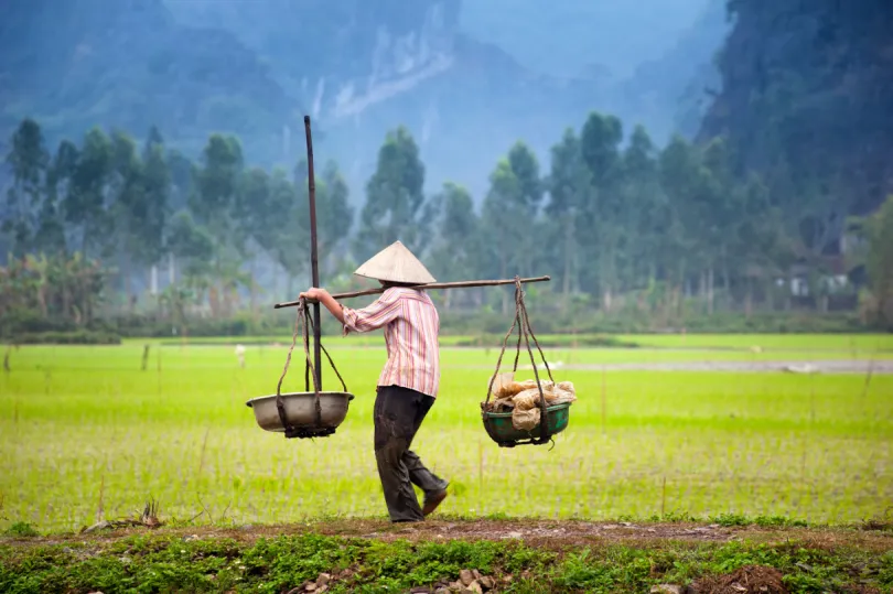 Rondreis Vietnam - Ninh Binh