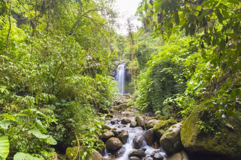 Duurzaam reizen Panama Boquete waterval