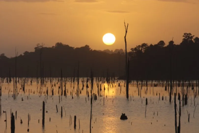 avontuurlijke reis suriname