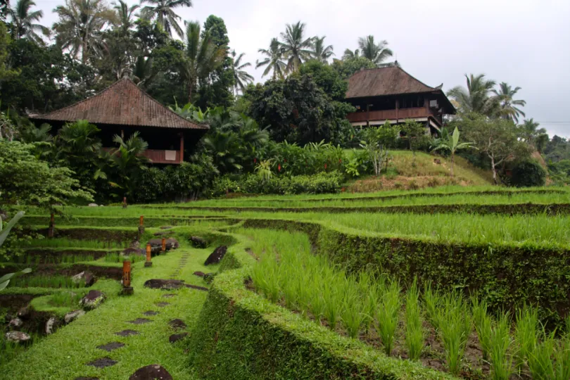 Hotels Indonesië - Tabanan Bali