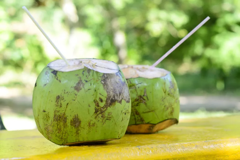 Rondreis Thailand - kokosnoot