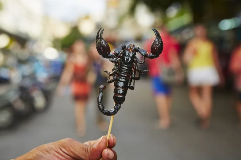 Streetfood Thailand - schorpioen