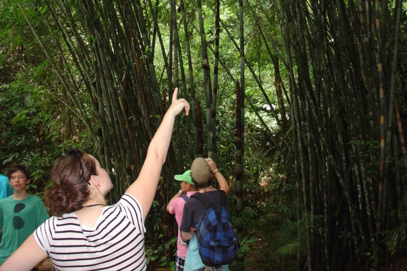 Familiereis Thailand - Khao Sok