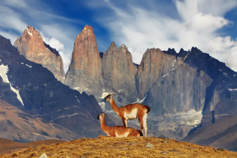 Wandelreis patagonie