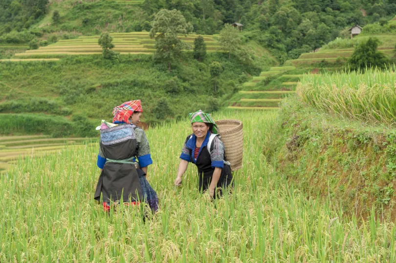 Rondreis Vietnam - Hmong