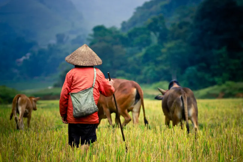 Rondreis Vietnam - wandeltocht
