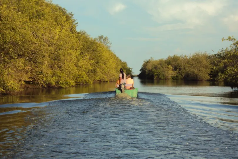 Suriname Hoogtepunten 