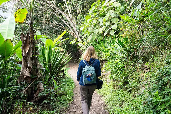 Wandeling Nazca