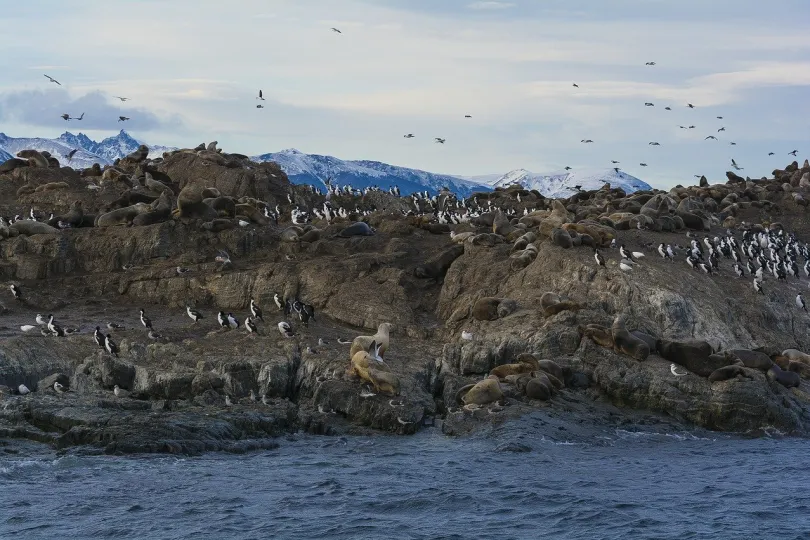 Wandelreis patagonië