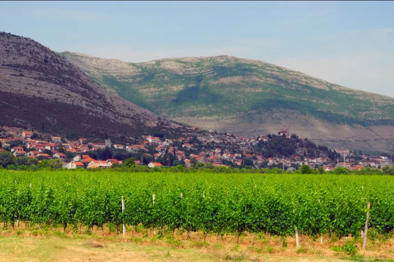 Bosnië hoogtepunten
