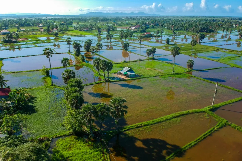 Cambodja - Kampot