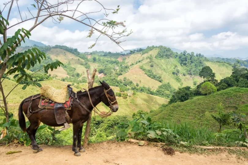 Colombia reis