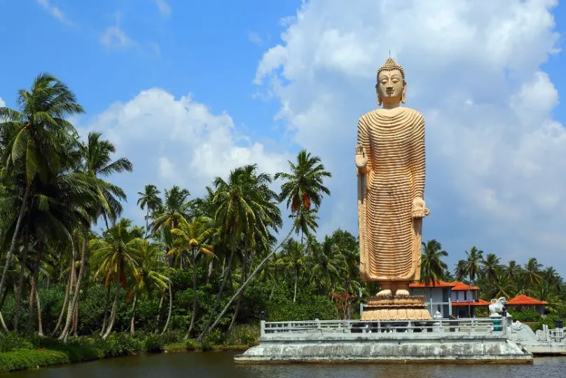 Sri Lanka hoogtepunten