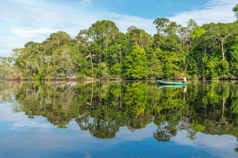 Maleisisch Borneo - regenwoud
