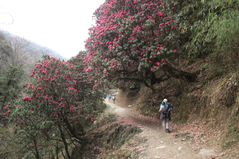 Annapurna Base Camp Trek