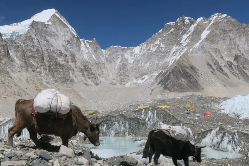 Nepal Everest Base Camp