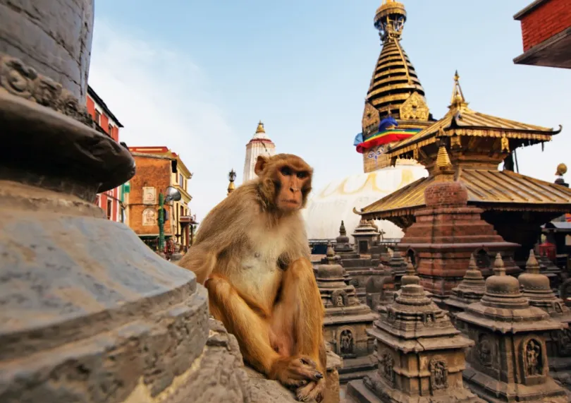 Nepal Kathmandu Swayambunath stupa