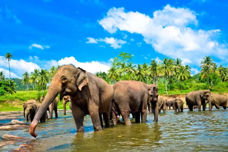Sri Lanka met kinderen