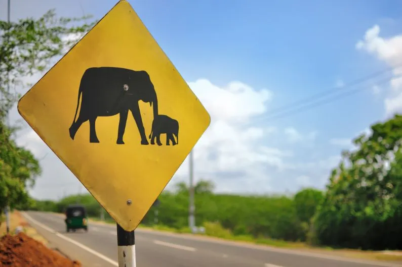 Sri Lanka met kinderen